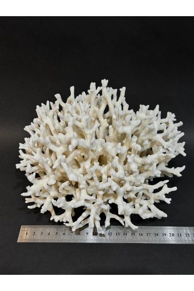 gemsartdeco İNCE DAL MERCAN - Resim 4