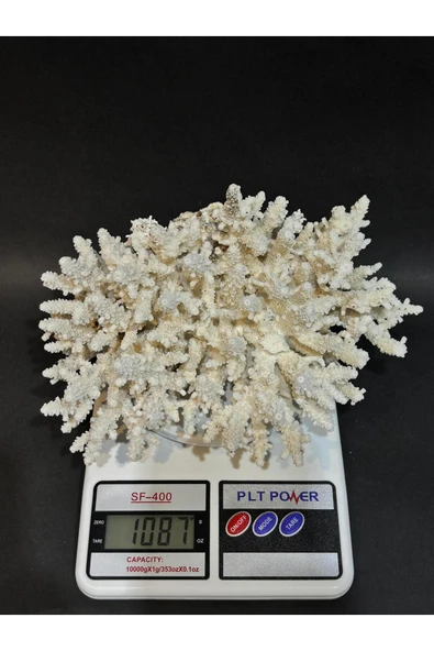 gemsartdeco DAL MERCAN - Resim 5