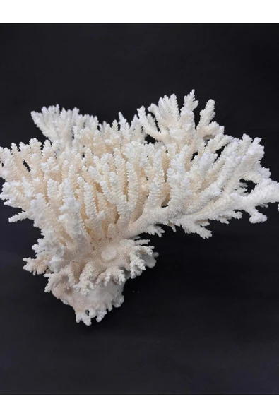 gemsartdeco İNCE DAL MERCAN CORAL CLUSTER - Resim 5