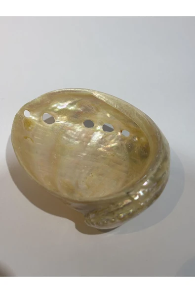 gemsartdeco ASIMILIS KABUK - Resim 2