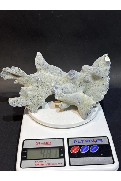 gemsartdeco MAVİ MERCAN ürün görseli