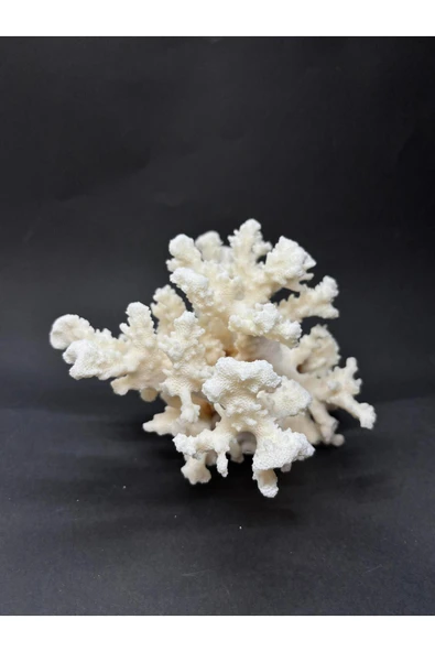 gemsartdeco MERCAN - Resim 5