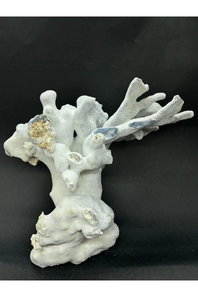 gemsartdeco MAVİ MERCAN - Resim 2