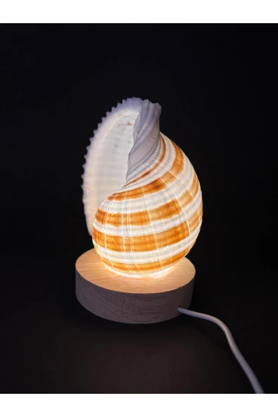 gemsartdeco TONA DENİZ KABUĞU GECE LAMBASI ürün görseli 1