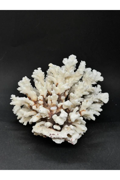 gemsartdeco MERCAN - Resim 2