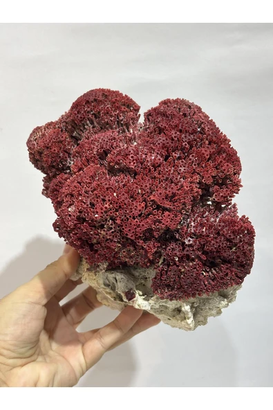 gemsartdeco KIRMIZI MERCAN DOĞALTAŞ - Resim 3