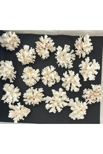 gemsartdeco Mercan Doğaltaş Boy 4 ürün görseli