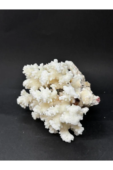 gemsartdeco MERCAN - Resim 3