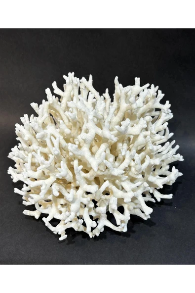 gemsartdeco İNCE DAL MERCAN - Resim 3