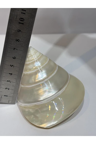 gemsartdeco TROCA KABUK - Resim 8