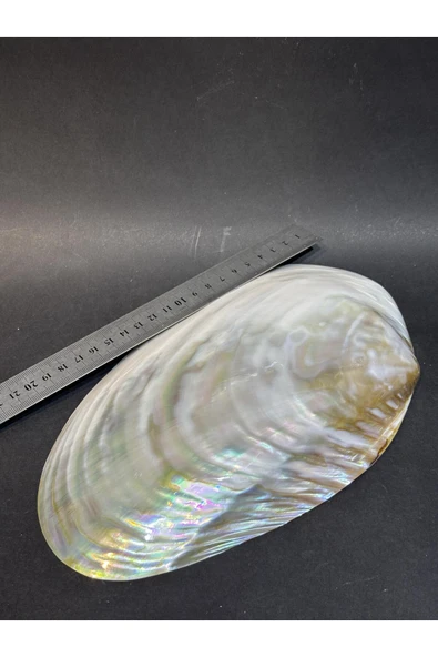 gemsartdeco KABUK XXL - Resim 6