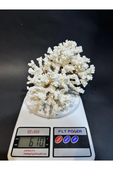 gemsartdeco MERCAN - Resim 2