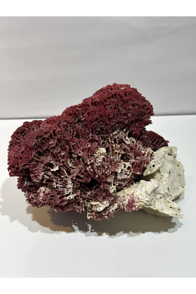 gemsartdeco KIRMIZI MERCAN DOĞALTAŞ - Resim 6