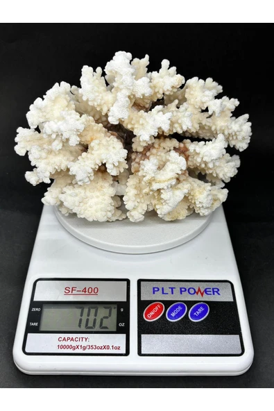 gemsartdeco MERCAN - Resim 6