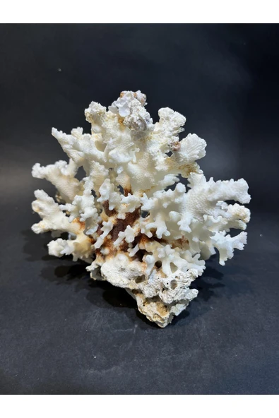 gemsartdeco MERCAN ürün görseli