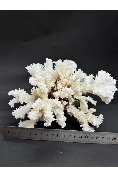 gemsartdeco MERCAN - Resim 5