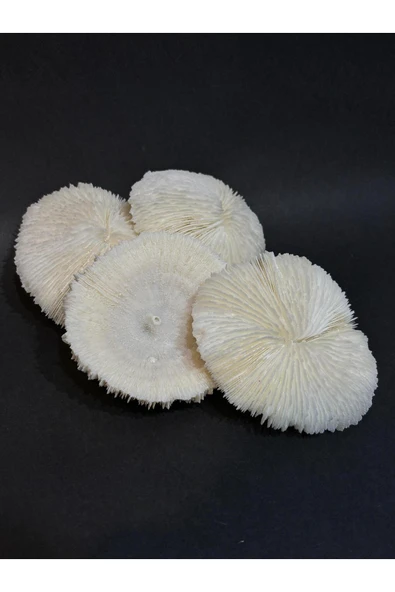 gemsartdeco MANTAR MERCAN - Resim 3