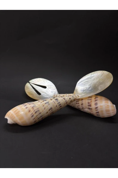 gemsartdeco ORJİNAL SALATA KAŞIK ÇATAL - Resim 6