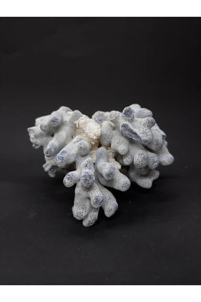 gemsartdeco MAVİ MERCAN ürün görseli