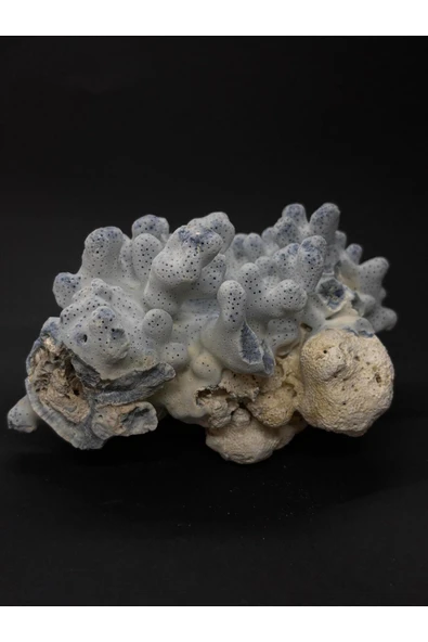 gemsartdeco MAVİ MERCAN - Resim 4