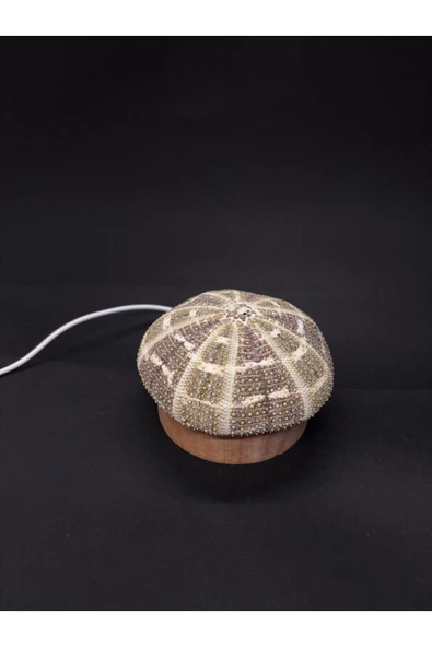 gemsartdeco DENİZ KESTANESİ GECE LAMBASI - Resim 5