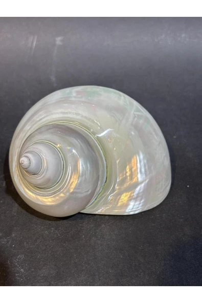 gemsartdeco Turbo Burges Kabuk - Resim 7