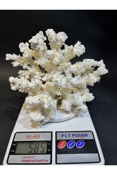 gemsartdeco MERCAN - Resim 7