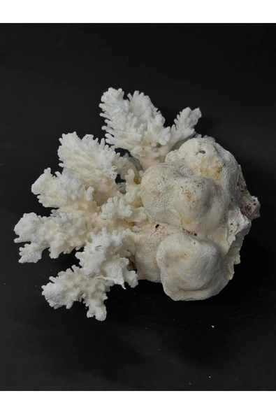 gemsartdeco MERCAN - Resim 2