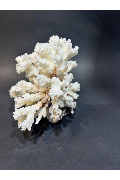 gemsartdeco MERCAN - Resim 4