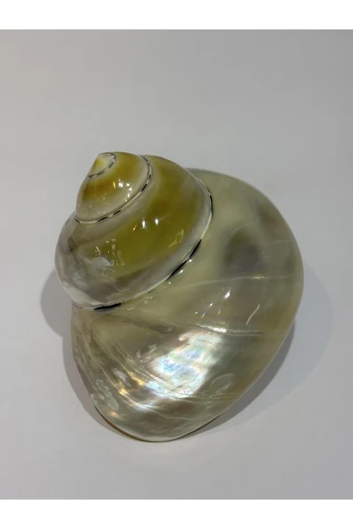 gemsartdeco TURBO BURGES SEDEFLİ - Resim 5