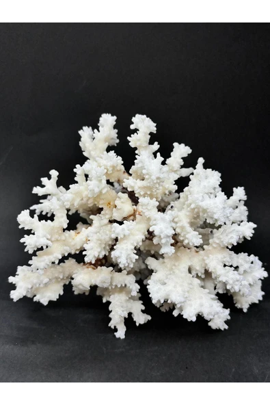 gemsartdeco MERCAN ürün görseli