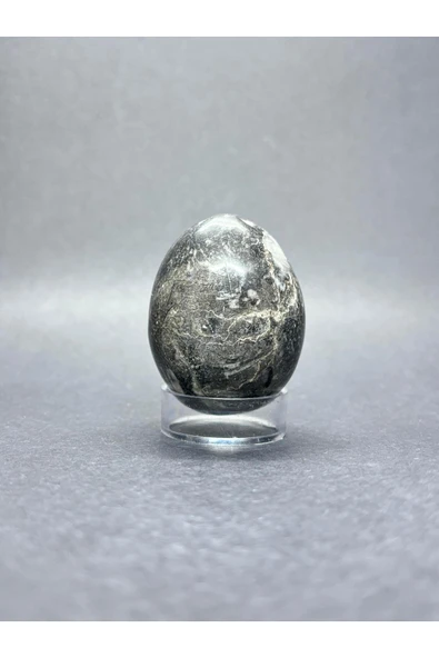 gemsartdeco BELEMNİT FOSİLLİ YUMURTA DOĞALTAŞ - Resim 3