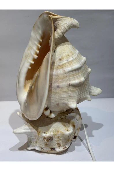 gemsartdeco CASIS DEV BOY LAMBA PRİZLİ - Resim 3