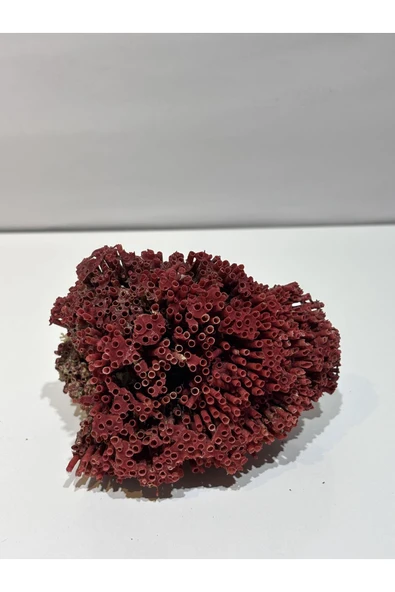 gemsartdeco KIRMIZI MERCAN DOĞALTAŞ - Resim 2