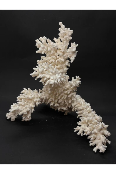 gemsartdeco DAL MERCAN - Resim 2