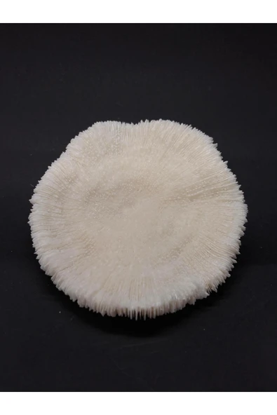 gemsartdeco MANTAR MERCAN - Resim 3