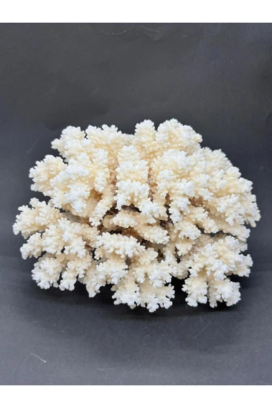 gemsartdeco MERCAN ürün görseli