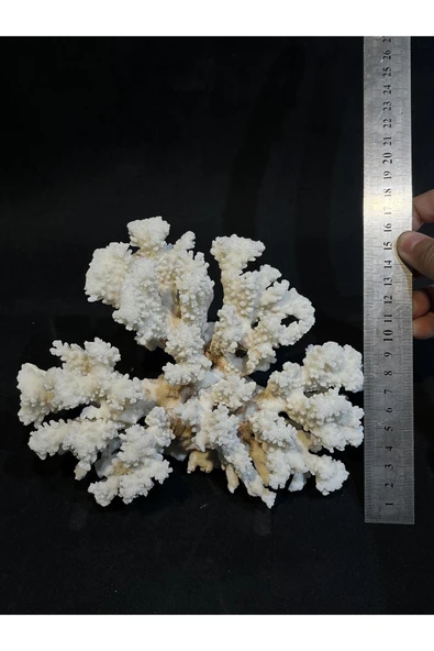 gemsartdeco MERCAN - Resim 5