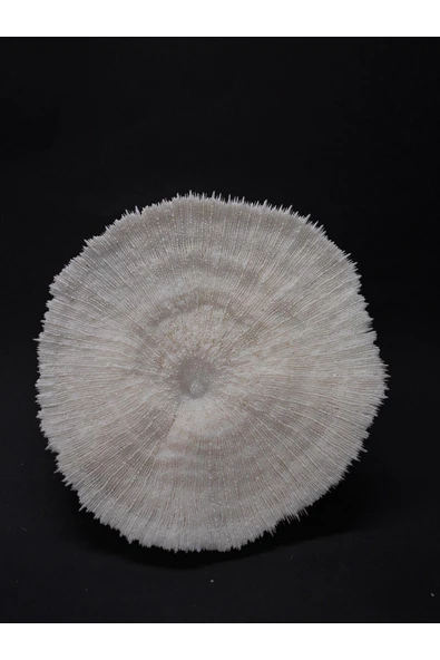 gemsartdeco MANTAR MERCAN - Resim 6