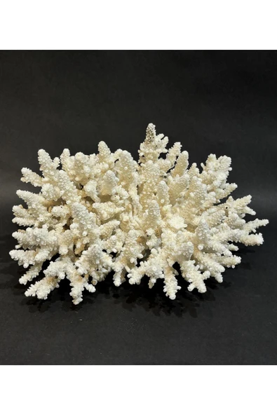 gemsartdeco DAL MERCAN ürün görseli