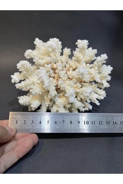 gemsartdeco MERCAN - Resim 2