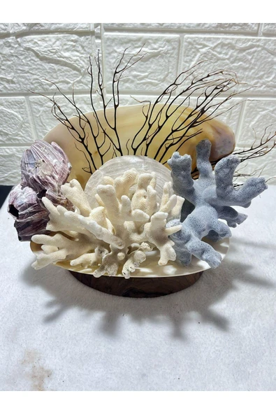 gemsartdeco Gerçek Mercan ve Kabuk Obje - Resim 4