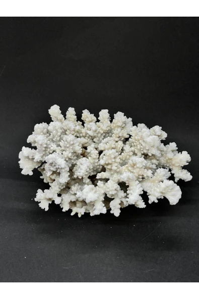 gemsartdeco MERCAN - Resim 3