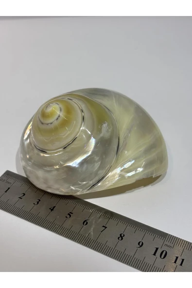 gemsartdeco TURBO BURGES SEDEFLİ - Resim 8