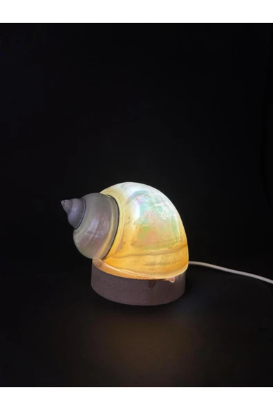 gemsartdeco NAUTİLUS KABUK GECE LAMBASI - Resim 3