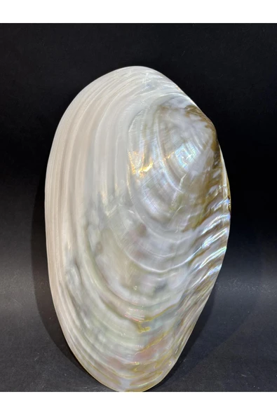 gemsartdeco KABUK XXL ürün görseli 1