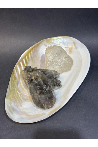 gemsartdeco KABUK XXL - Resim 7