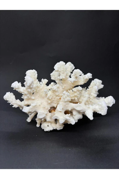 gemsartdeco MERCAN ürün görseli 1