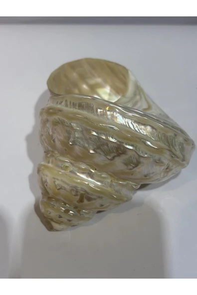 gemsartdeco UNDOSA SHELL ürün görseli