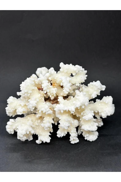 gemsartdeco MERCAN ürün görseli